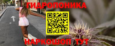 ешки Будённовск