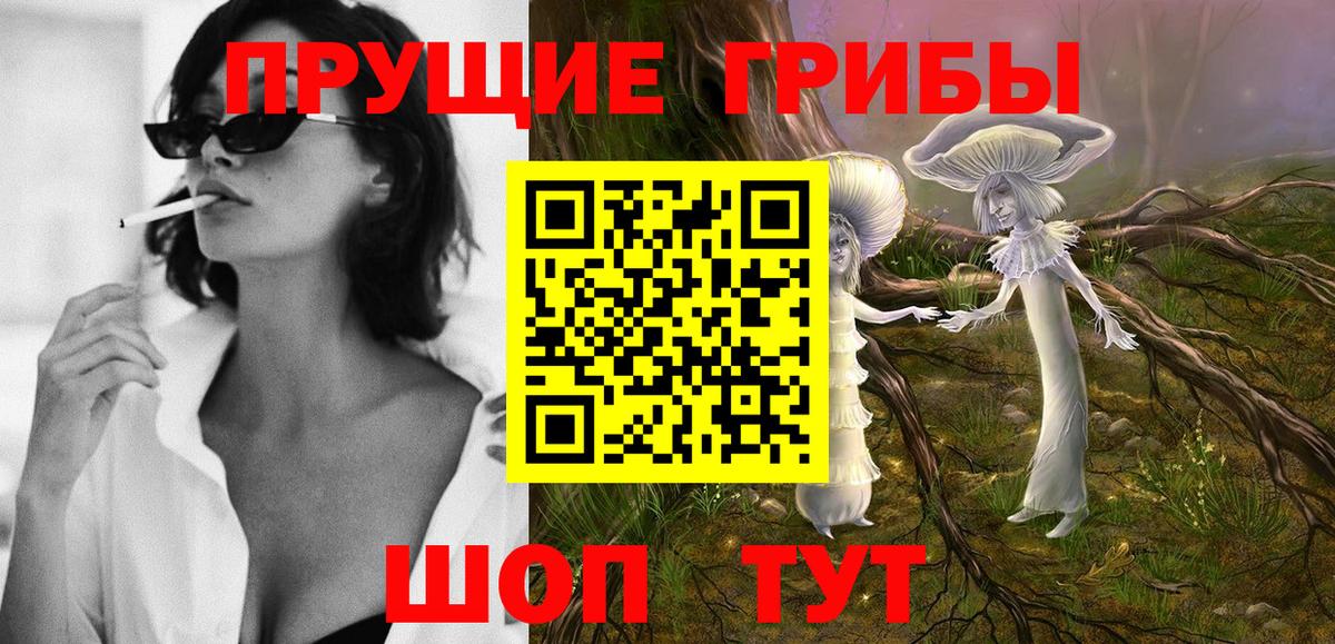 Галлюциногенные грибы Psilocybe  цены   Ржев  Вход с VPN 