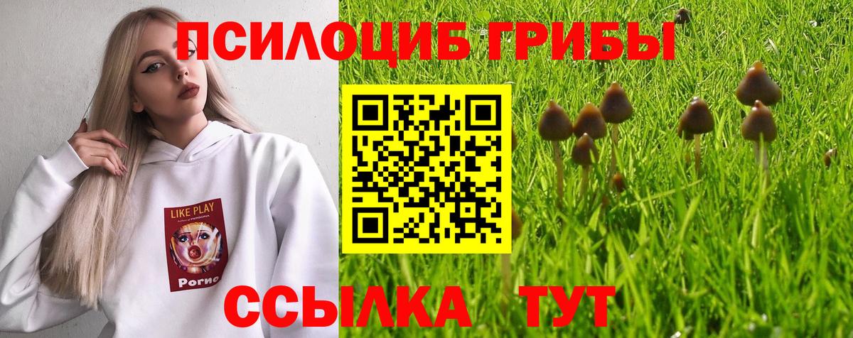 Псилоцибиновые грибы ЛСД Ржев